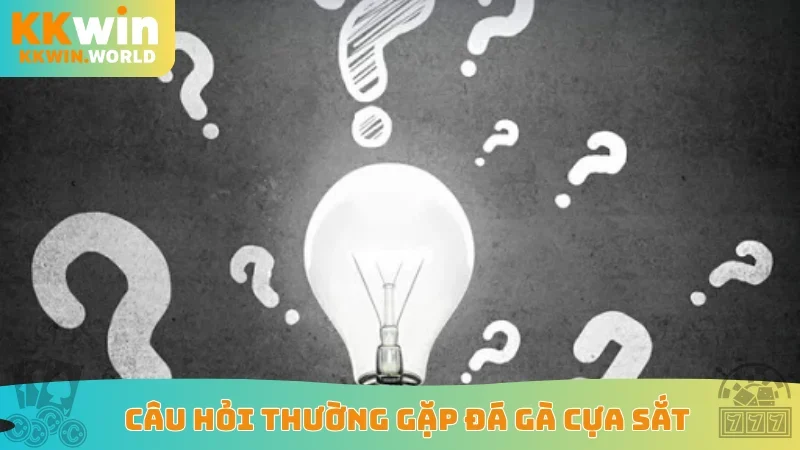 Câu hỏi thường gặp đá gà cựa sắt