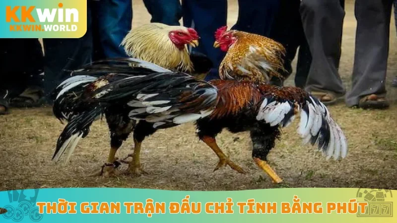 Thời gian trận đấu chỉ tính bằng phút