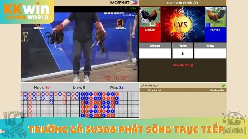 Trường gà SV388 phát sóng trực tiếp